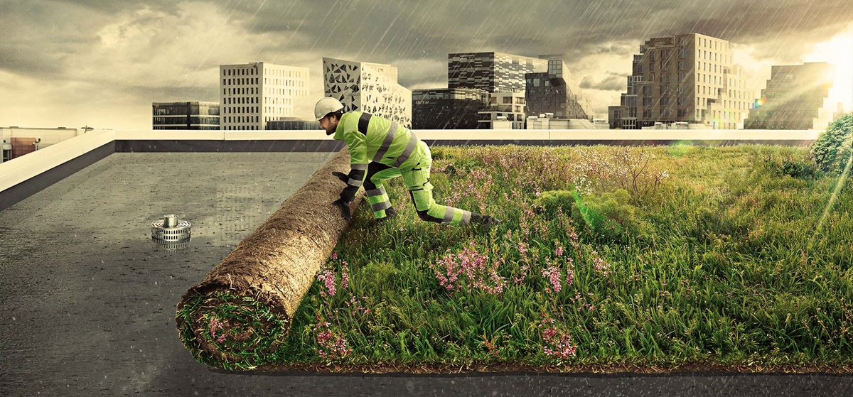 Grønne tage bringer bygninger til live